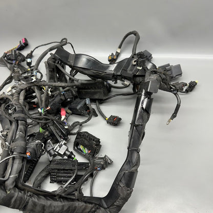 7105049 BMW S1000RR MAIN HARNESS WIRING LOOM 2018 2019 2020 2021 2022 OEM 7105049
