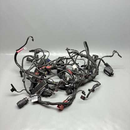 R1200GS BMW R1200GS MAIN WIRE HARNESS 2009 2010 2011 2012 2013 OEM  