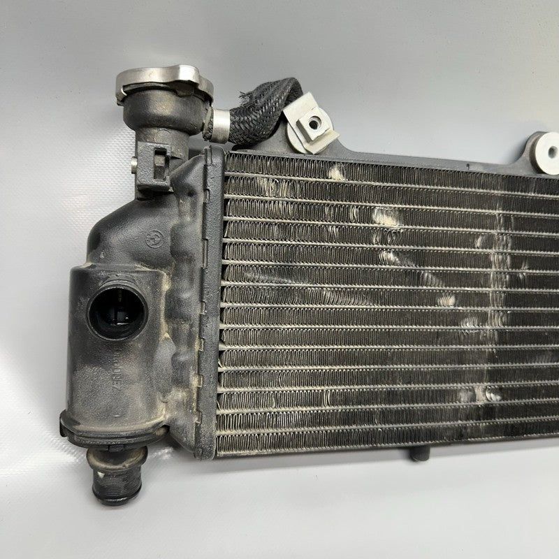 7661912 BMW G650GS SERTAO RADIATOR 2010 2011 2012 2013 2014 OEM 7661912