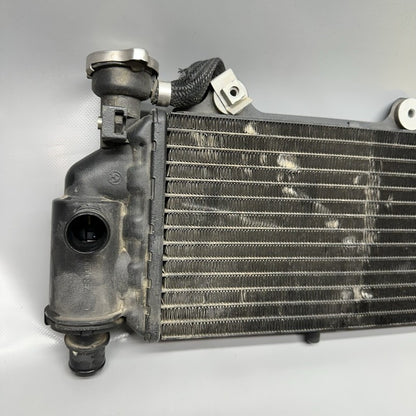 7661912 BMW G650GS SERTAO RADIATOR 2010 2011 2012 2013 2014 OEM 7661912
