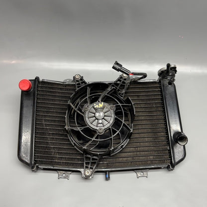 BMW G310GS RADIATOR WITH FAN 2016-2018 2019 2020 2021 2022 2023 2024 2