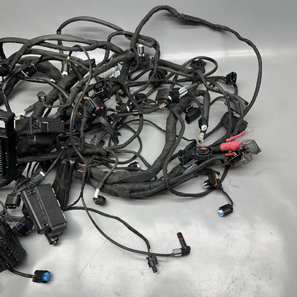 8354784 BMW K1600GTL MAIN ENGINE HARNESS 2015 2016 2017 2018 2019 2020 2021 OEM 8354784