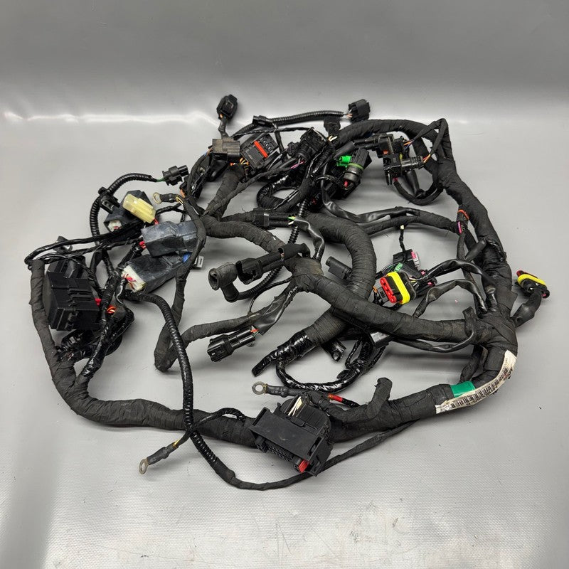 G310 R BMW G310 R MAIN ENGINE HARNESS 2016 2017 2018 2019 2020 OEM