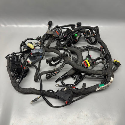 G310 R BMW G310 R MAIN ENGINE HARNESS 2016 2017 2018 2019 2020 OEM