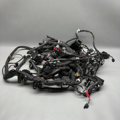 R18 TRANSCONTINENTAL BMW R18 TRANSCONTINENTAL MAIN ENGINE HARNESS 2020 2021 2022 2023 2024 2025 OEM