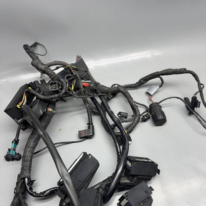 R1200GS BMW R1200GS MAIN ENGINE WIRE HARNESS 2009 2010 2011 2012 OEM