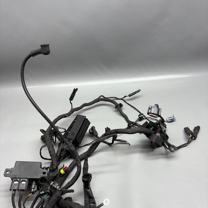 G310 GS BMW G310 GS MAIN ENGINE WARNESS 2016-2020 2021 2022 2023 2024 2025 OEM