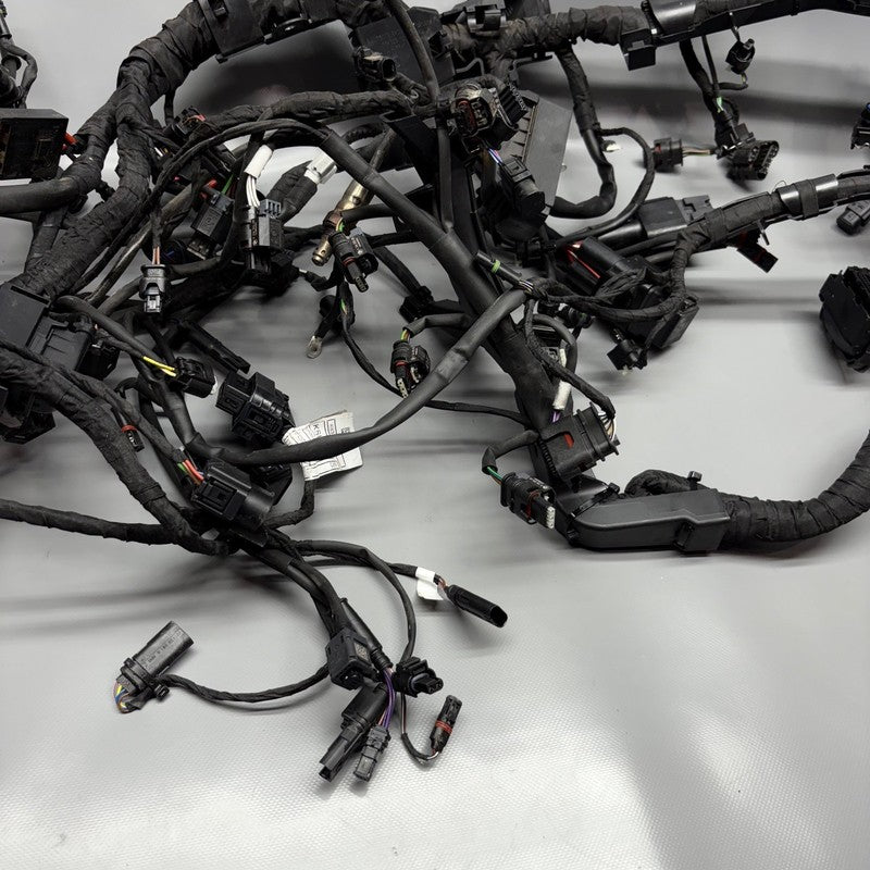 BMW M1000R MAIN WIRING HARNESS 2021 2022 2023 2024 OEM 7105048