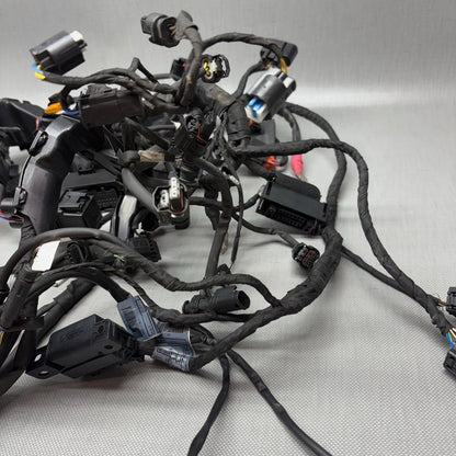 BMW S1000RR MAIN ENGINE WIRING HARNESS 2019 2020 2021 2022 2023 2024 O