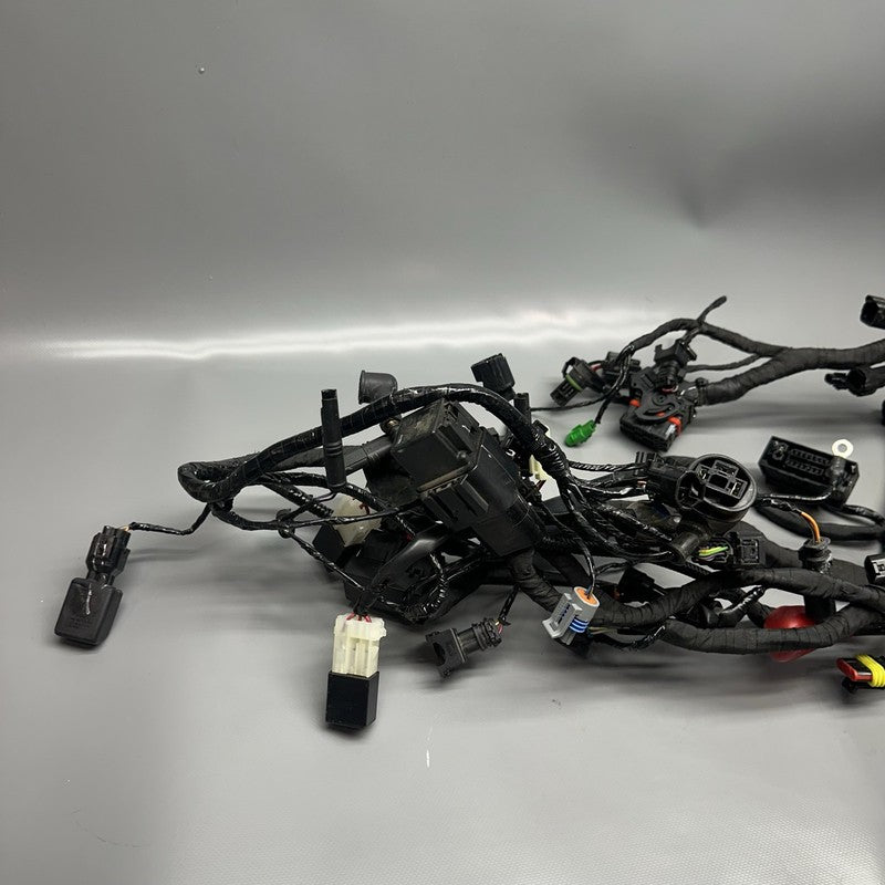 8394113 BMW G310GS MAIN ENGINE HARNESS 2018 2019 OEM 8394113