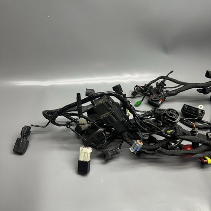 8394113 BMW G310GS MAIN ENGINE HARNESS 2018 2019 OEM 8394113