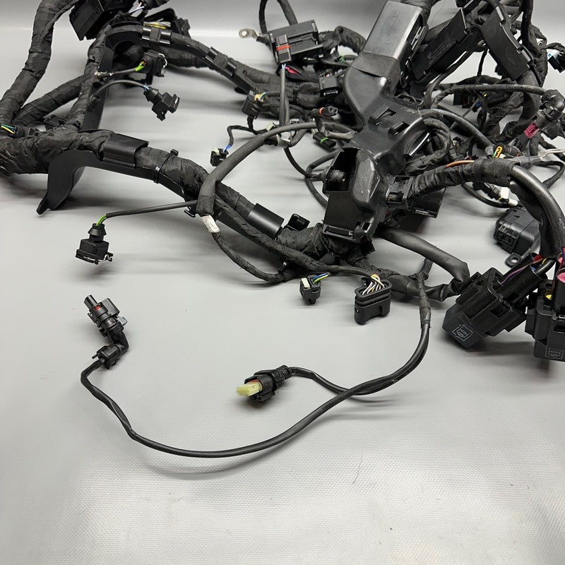S1000R BMW S1000R MAIN ENGINE HARNESS 2020 2021 2022 2023 2024 2025 OEM
