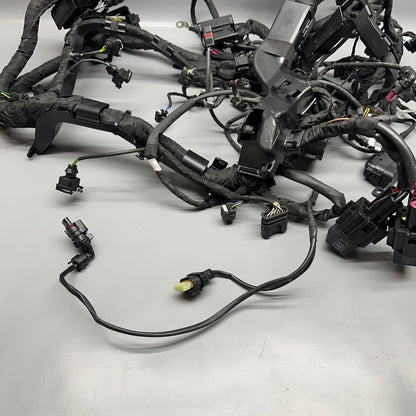 S1000R BMW S1000R MAIN ENGINE HARNESS 2020 2021 2022 2023 2024 2025 OEM