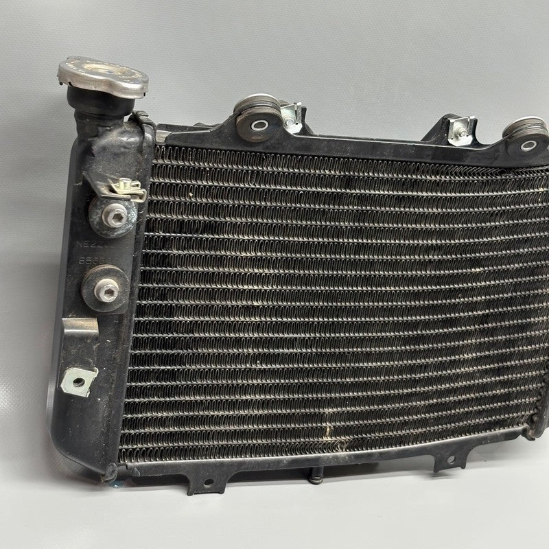 BMW G310GS RADIATOR WITH FAN 2016-2018 2019 2020 2021 2022 2023 2024 2