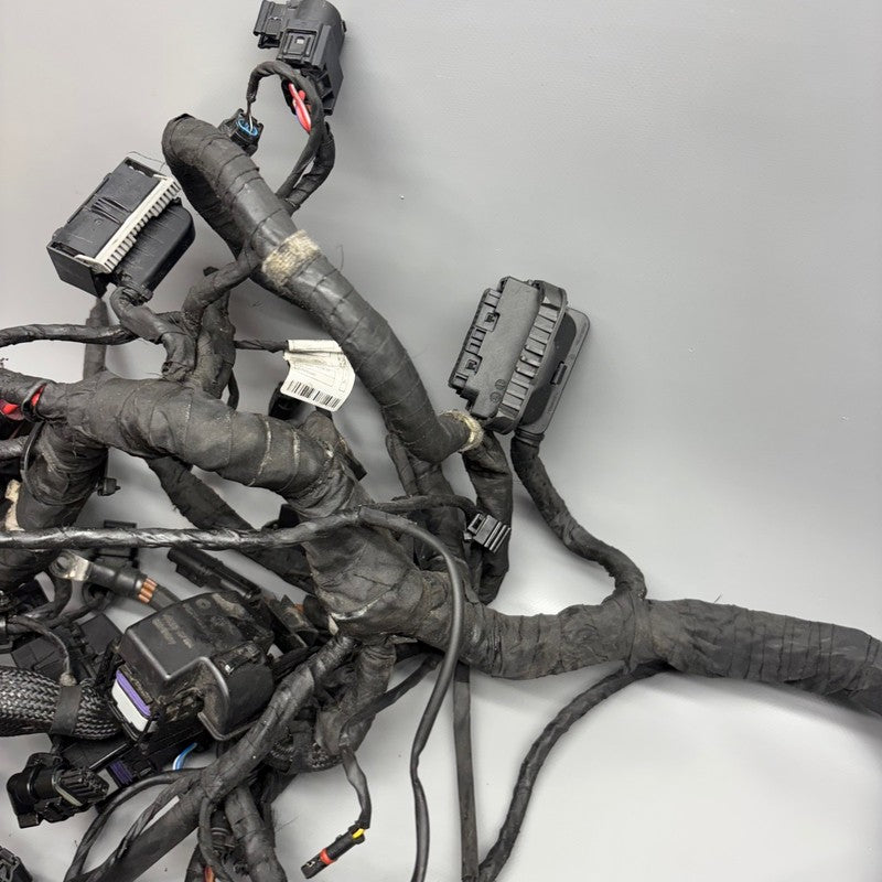 7108707 BMW R18 TRANSCONTINENTAL MAIN ENGINE HARNESS 2020 2021 2022 2023 2024 OEM