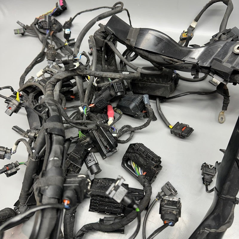 7105049 BMW S1000RR MAIN HARNESS WIRING LOOM 2018 2019 2020 2021 2022 OEM 7105049