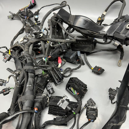 7105049 BMW S1000RR MAIN HARNESS WIRING LOOM 2018 2019 2020 2021 2022 OEM 7105049