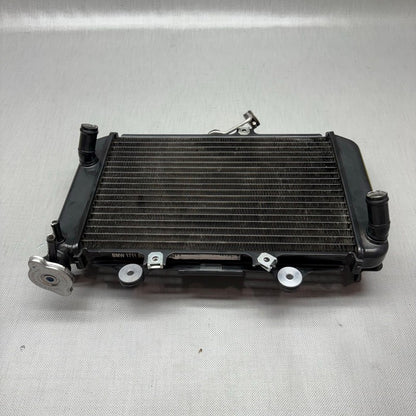 BMW G310R RADIATOR 2017 2018 OEM