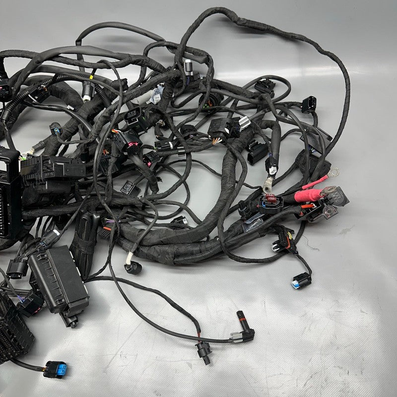 8354784 BMW K1600GTL MAIN ENGINE HARNESS 2015 2016 2017 2018 2019 2020 2021 OEM 8354784