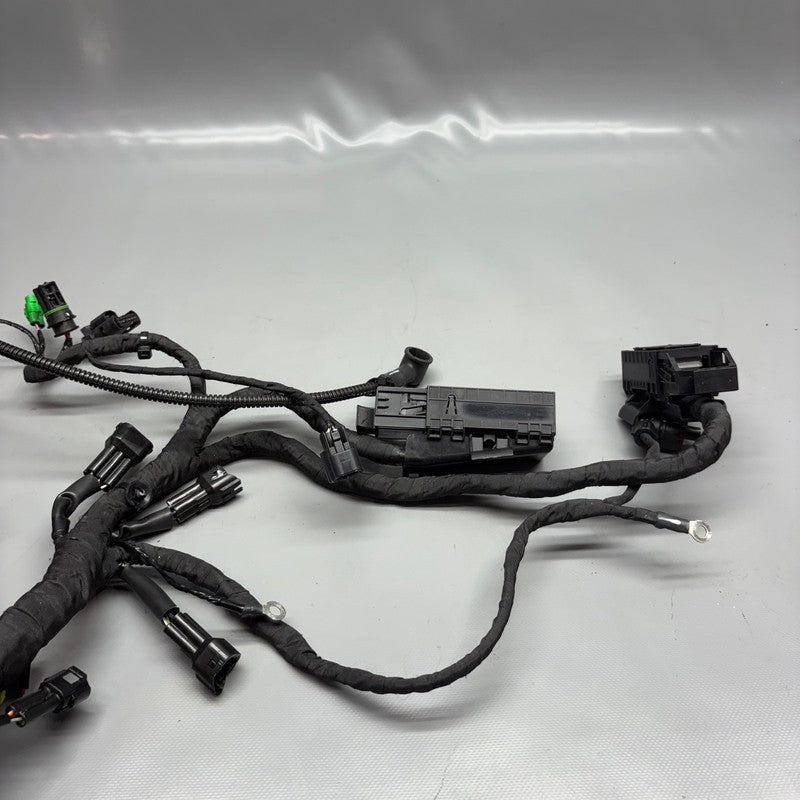 G310 R BMW G 310R MAIN ENGINE HARNESS 2019 2020 2021 2022 2023 2024 2025 OEM