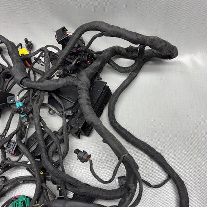 BMW C 650 EVOLUTION MAIN WIRING HARNESS 2015 2016 2017 2018 OEM