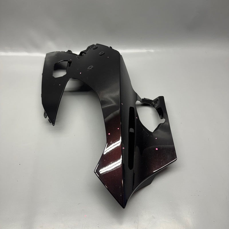 8569043 BMW K1600GTL UPPER TRIM SECTION LEFT 2015 2016 2017 2018 2019 2020 2021 OEM