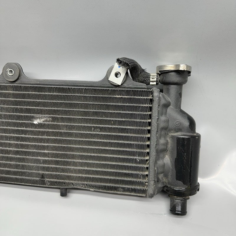 7661912 BMW G650GS SERTAO RADIATOR 2010 2011 2012 2013 2014 OEM 7661912