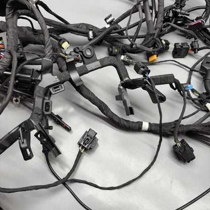 R1300GSA BMW R1300GS ADVENTURE MAIN WIRE HARNESS 2023 2024 2025 OEM 