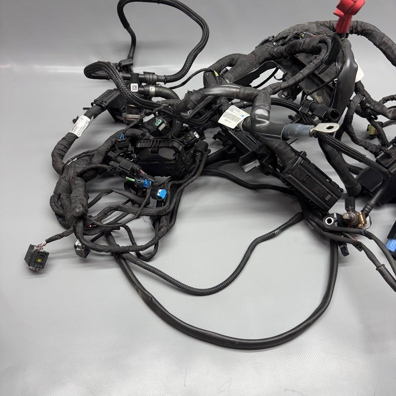 R12 NINE T BMW R12 NINE T MAIN ENGINE HARNESS 2022 2023 2024 2025 OEM
