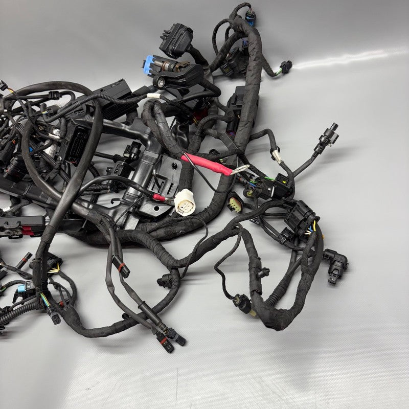 R12 NINE T BMW R12 NINE T MAIN ENGINE HARNESS 2022 2023 2024 2025 OEM