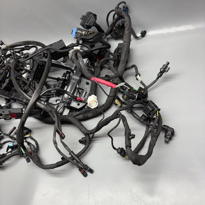 R12 NINE T BMW R12 NINE T MAIN ENGINE HARNESS 2022 2023 2024 2025 OEM