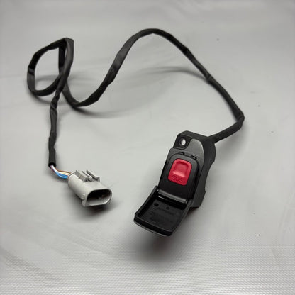 R12 NINE T BMW R12 NINE T SOS CONTROL 2022 2023 2024 2025 OEM