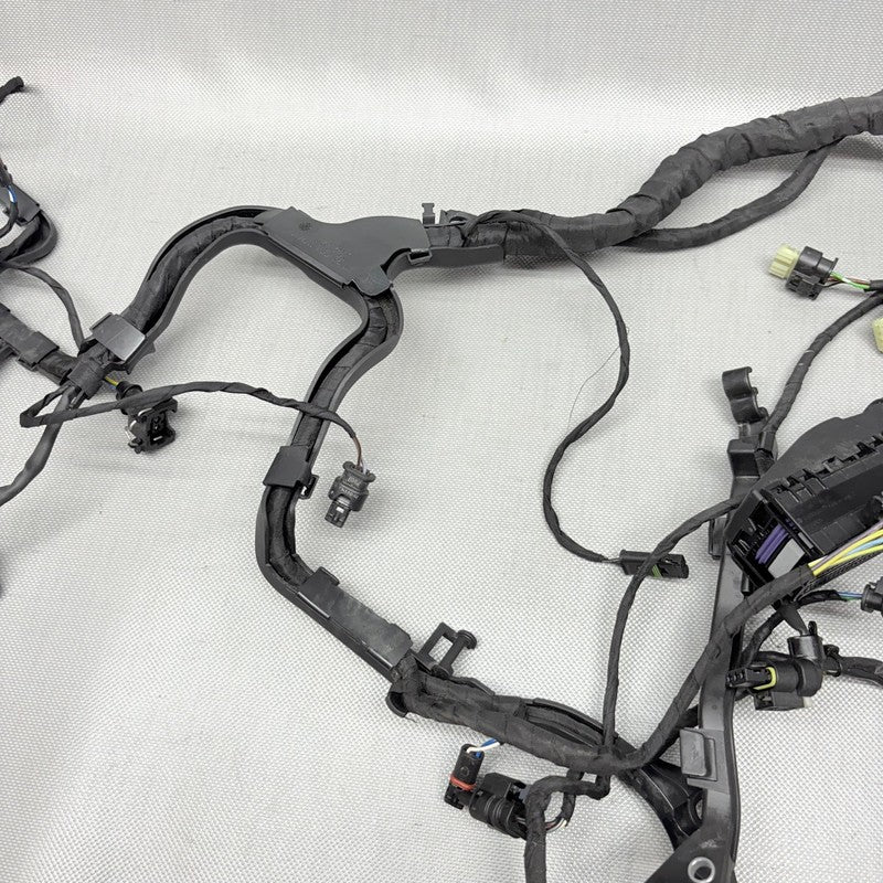 BMW R1250GS ENGINE WIRING HARNESS 2017 2018 2019 2020 2021 2022 2023 O