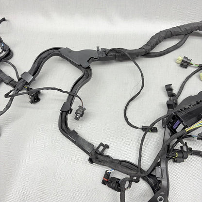 BMW R1250GS ENGINE WIRING HARNESS 2017 2018 2019 2020 2021 2022 2023 O