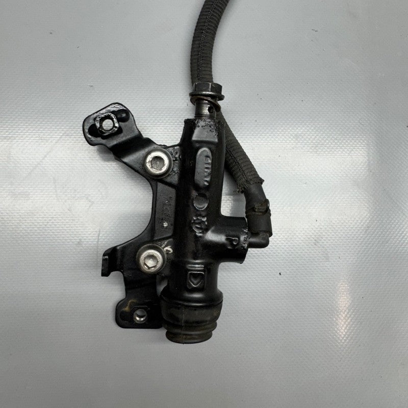 G310GS BMW G310GS BRAKE PEDAL AND MASTER CYLINDER 2016 2017 2018 2019 2020 OEM