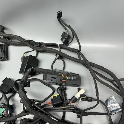 C 650 EVOLUTION BMW C 650 EVOLUTION MAIN WIRING HARNESS 2015 2016 2017 2018 OEM