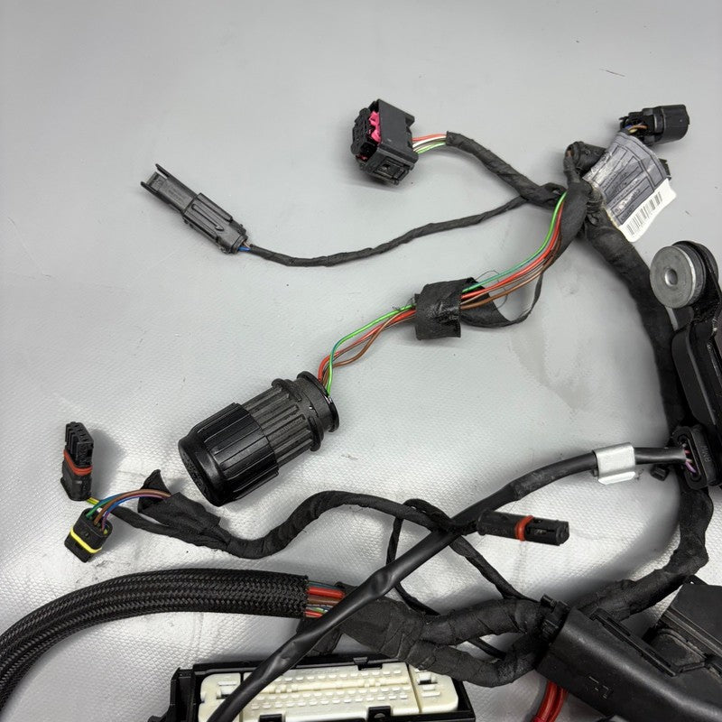 BMW K1300S MAIN ENGINE HARNESS 2007 2008 2009 2010 2011 2012 2013 2014