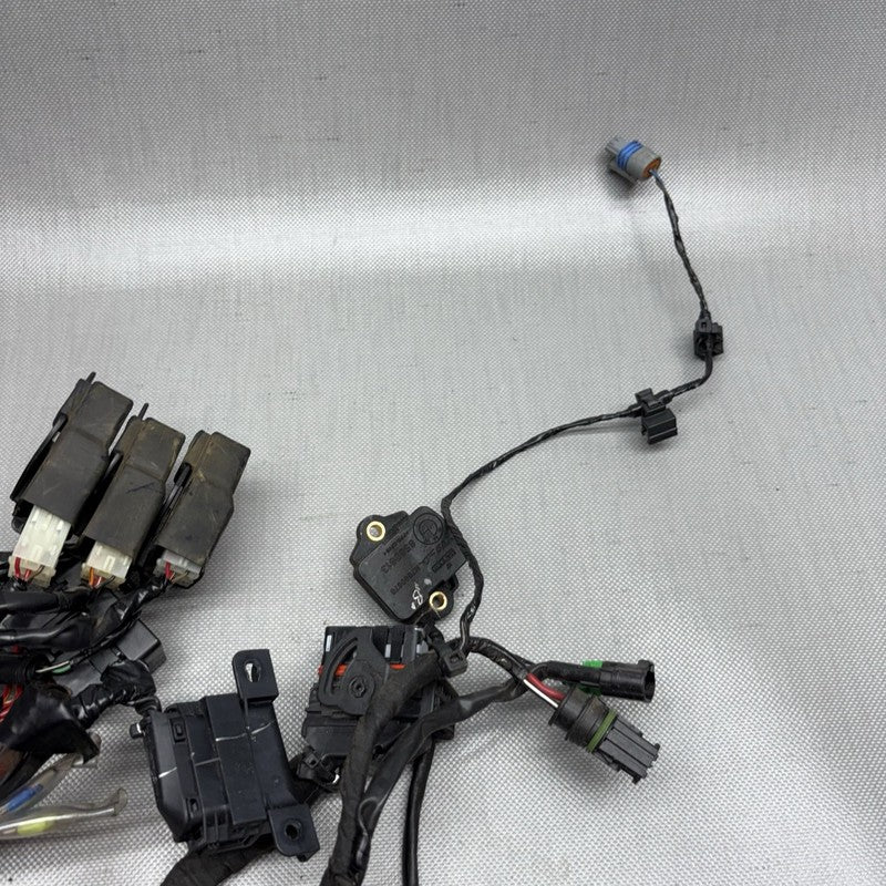 G 310R BMW G 310R MAIN ENGINE HARNESS 2016 2017 2018 2019 2020 OEM