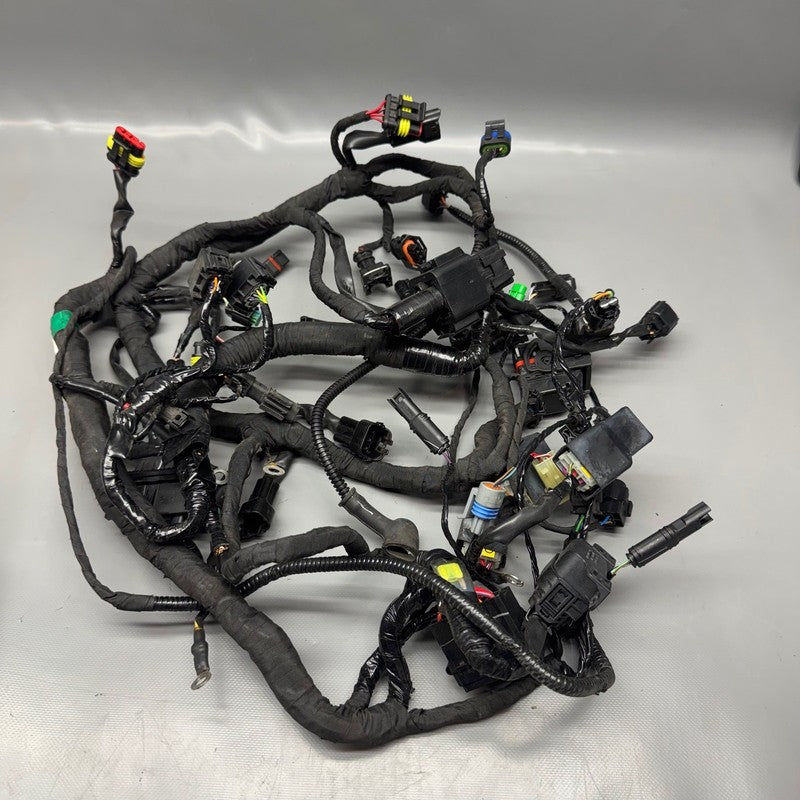 G310 R BMW G310 R MAIN ENGINE HARNESS 2016 2017 2018 2019 2020 OEM