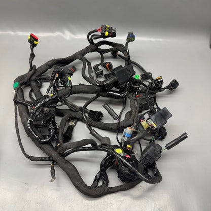 G310 R BMW G310 R MAIN ENGINE HARNESS 2016 2017 2018 2019 2020 OEM