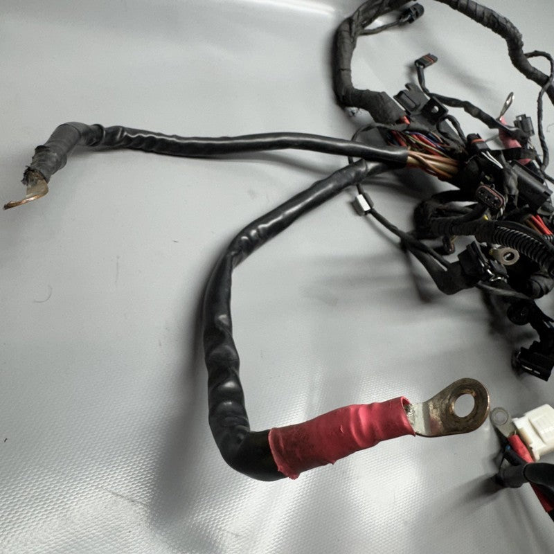 R1200GS BMW R1200GS MAIN ENGINE WIRE HARNESS 2009 2010 2011 2012 OEM
