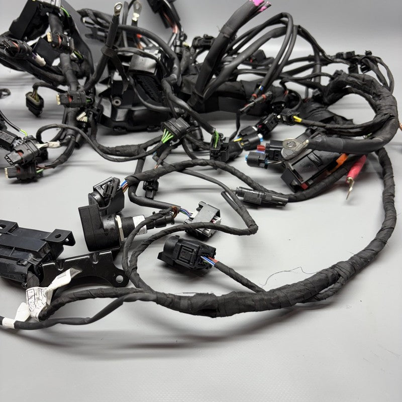 7108539 BMW S1000RR MAIN ENGINE WIRING 2019 2020 2021 2022 2023 2024 OEM 7108539 CUT