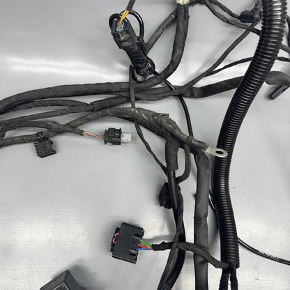 1692821 BMW F900R MAIN ENGINE HARNESS 2020 2021 2022 2023 2024 OEM 1692821