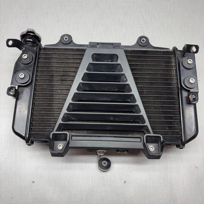 BMW G310R RADIATOR 2017 2018 OEM