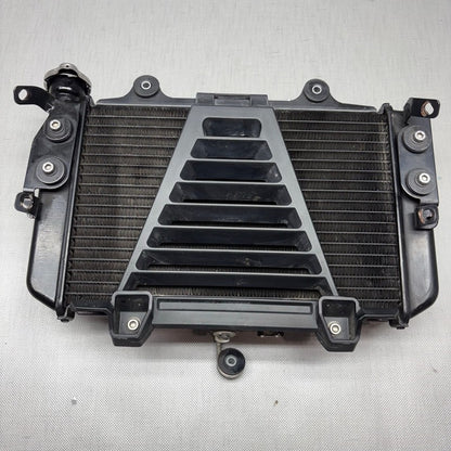 BMW G310R RADIATOR 2017 2018 OEM