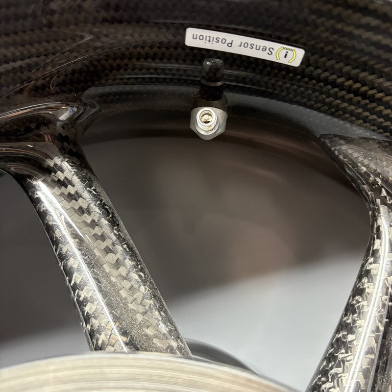 M1000R BMW M1000R WHEEL RIM REAR CARBON FIBER 2021 2022 2023 2024 OEM 