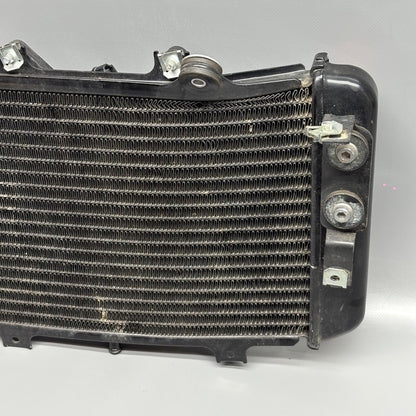 BMW G310GS RADIATOR WITH FAN 2016-2018 2019 2020 2021 2022 2023 2024 2