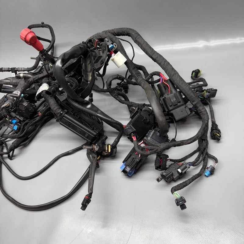 R12 NINE T BMW R12 NINE T MAIN ENGINE HARNESS 2022 2023 2024 2025 OEM