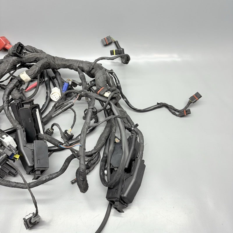 R1200GS BMW R1200GS MAIN WIRE HARNESS 2009 2010 2011 2012 2013 OEM  