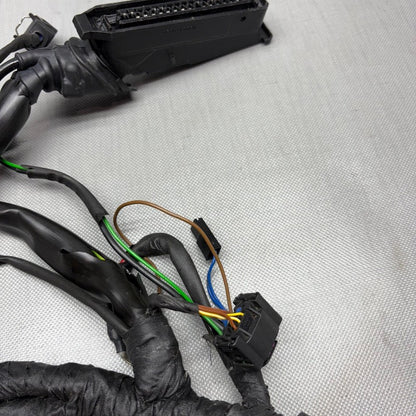 R1150RS BMW R1150RS MAIN ENGINE HARNESS 2002 2003 2004 2005 2006 OEM